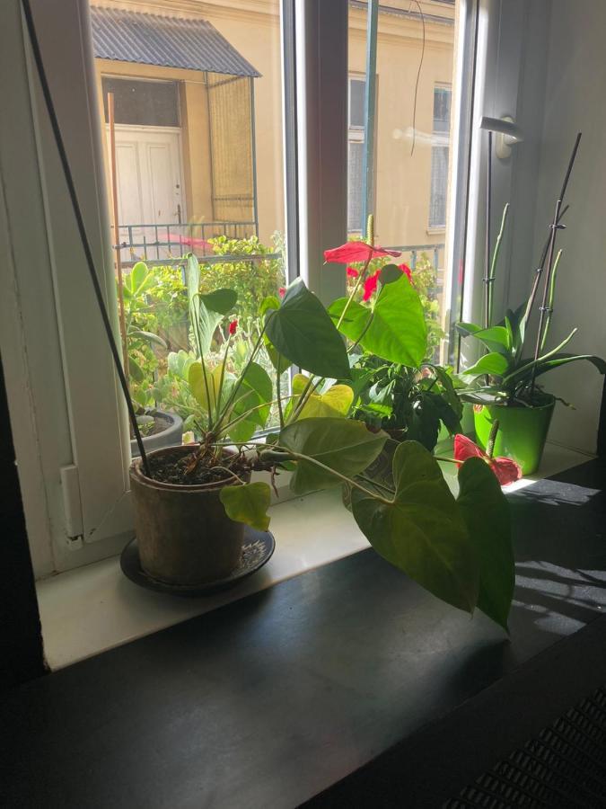 Oaza 26 Deo 2 Appartement Belgrado Buitenkant foto